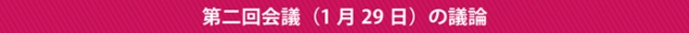 第二回会議（1月29日）の議論